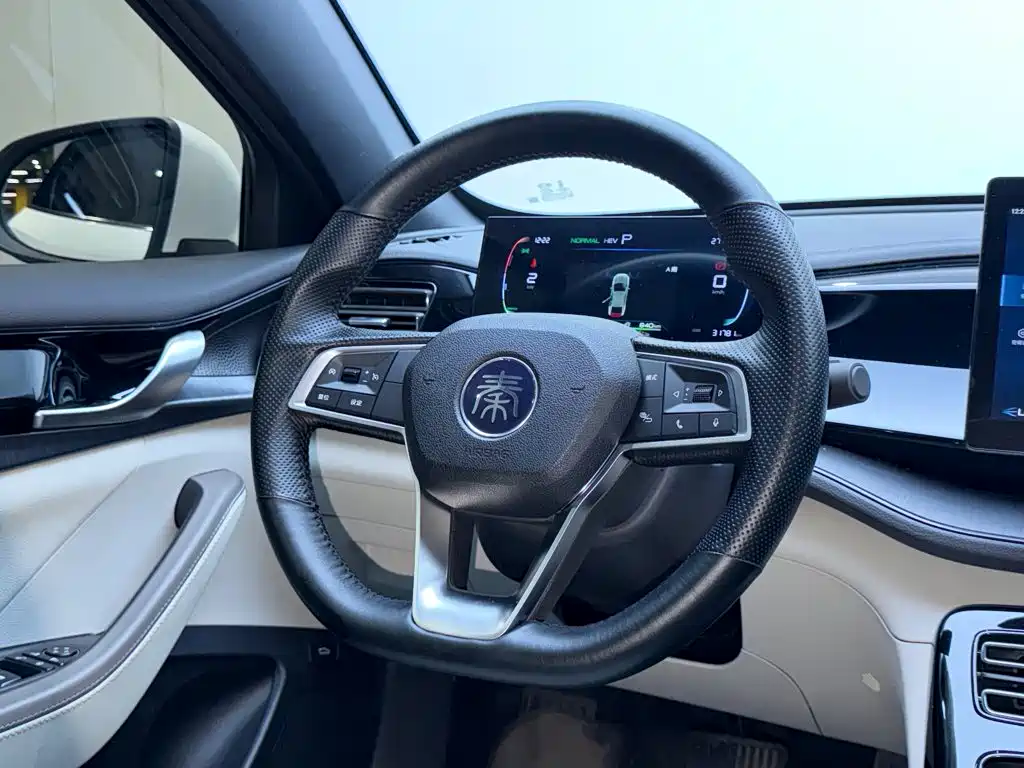 BYD Qin PLUS 2024 — фото 11