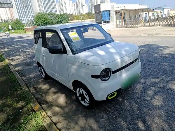 Geely Galaxy Panda 2026
