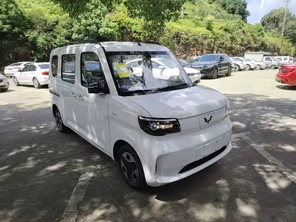 Wuling Zhiguang New Energy 2026