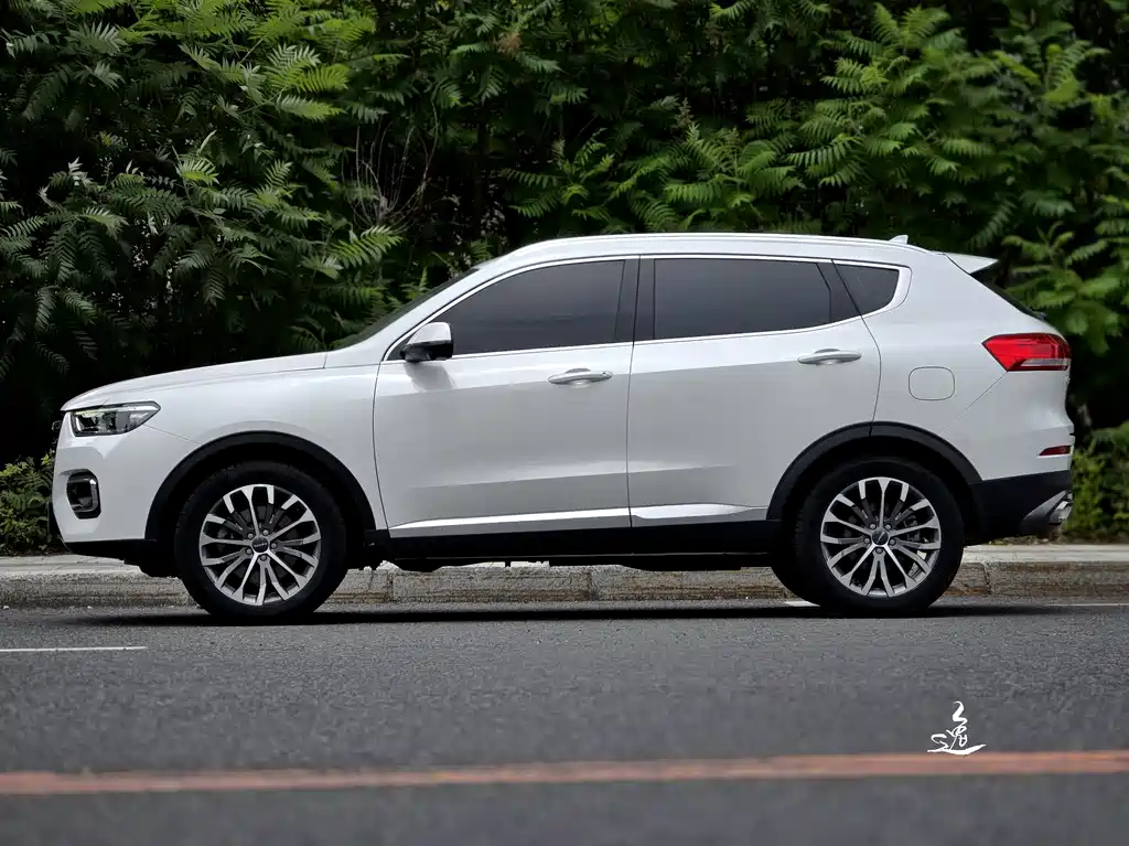 Haval H6 2020 — фото 3