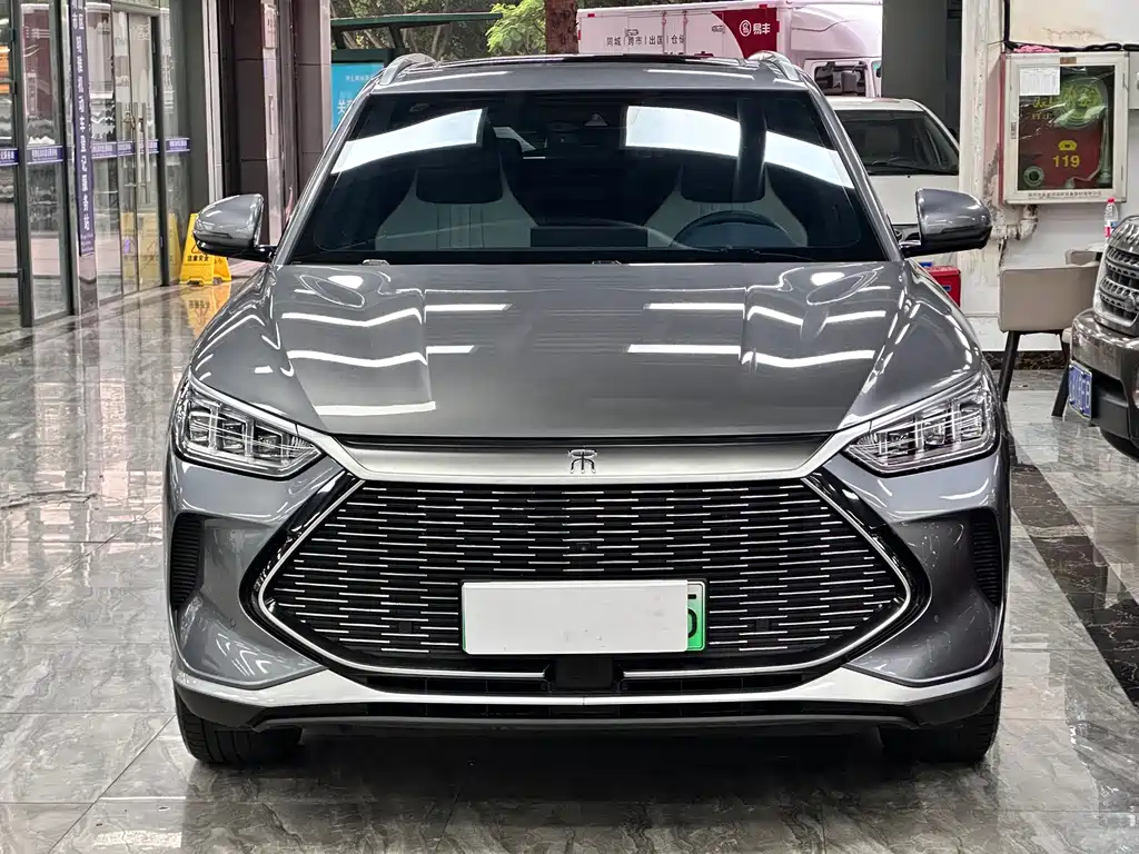 BYD Song PLUS New Energy 2021 — фото 3