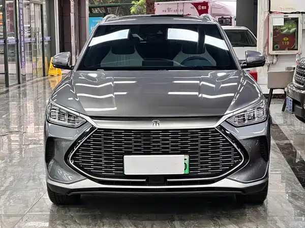 BYD Song PLUS New Energy 2021
