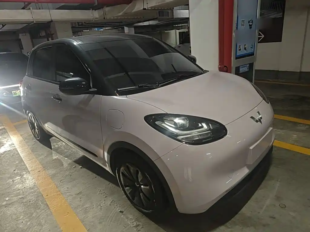 Wuling Bingo 2024