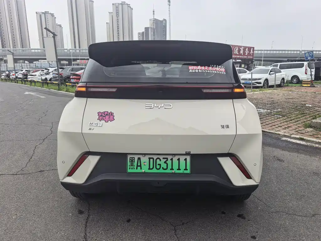 BYD Seagull 2024