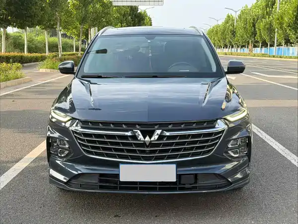 Wuling Victory 2021