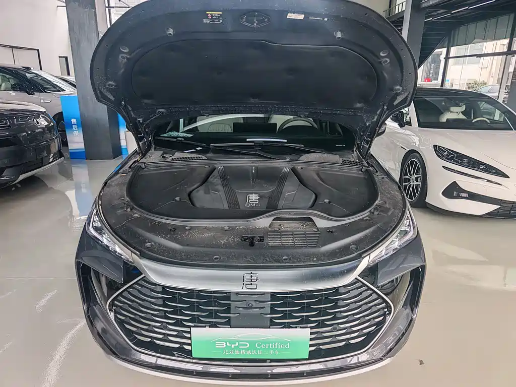 BYD Tang New Energy 2025 — фото 13