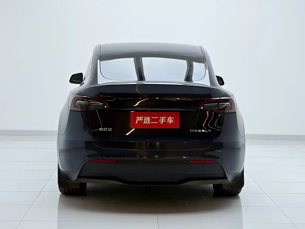 Tesla Model Y 2024 — фото 10