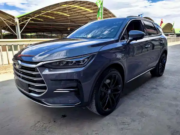 BYD Tang New Energy 2021