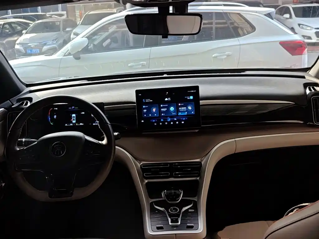 BYD Pro New Energy 2024 — фото 10