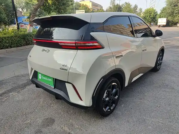 BYD Seagull 2024