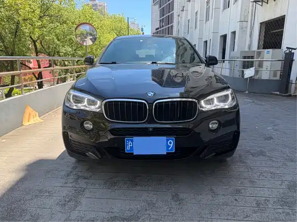 BMW X6 2019