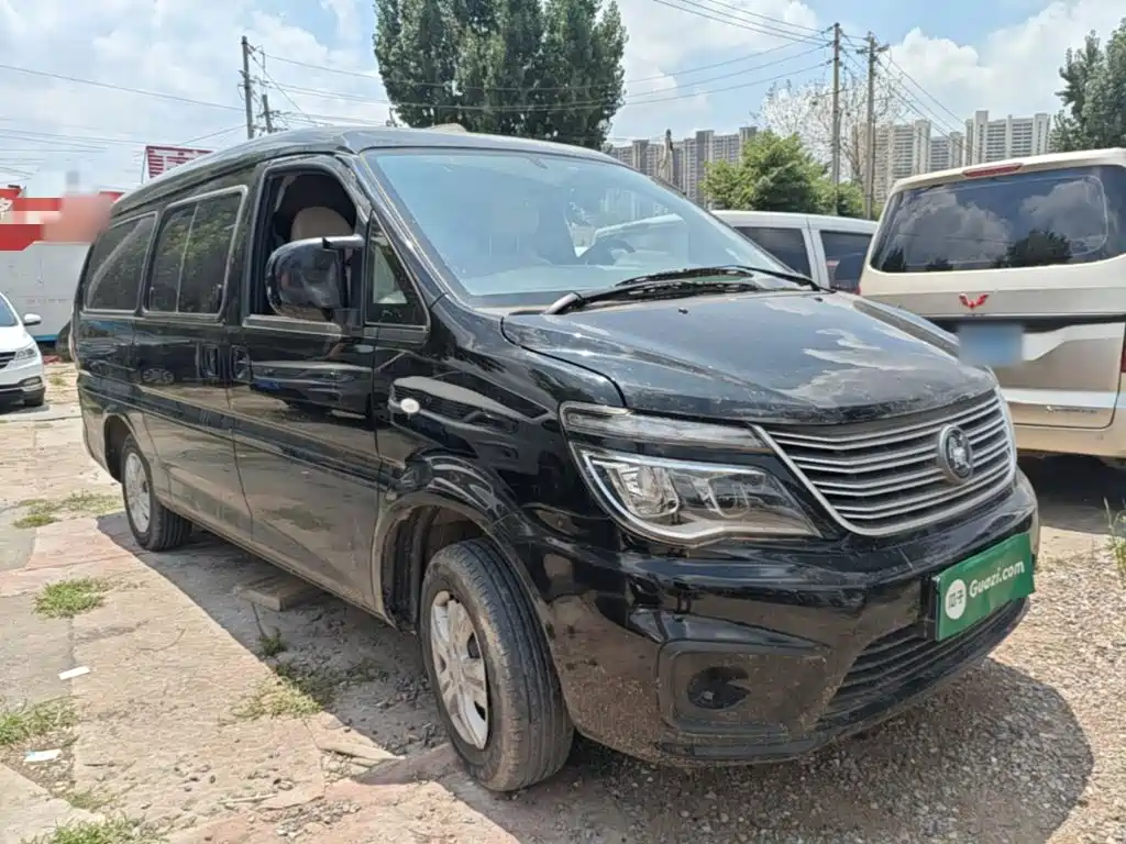 Fengxing Lingzhi 2022