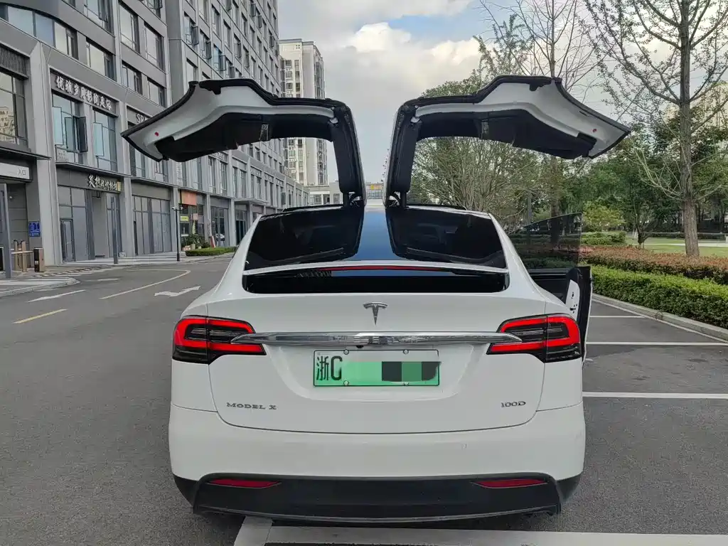 Tesla Model X 2018 — фото 8