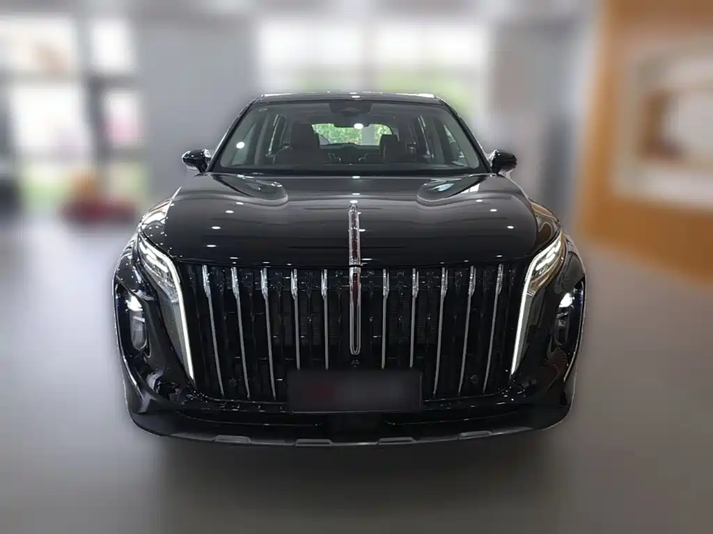Hongqi HS7 PHEV 2025 — фото 5