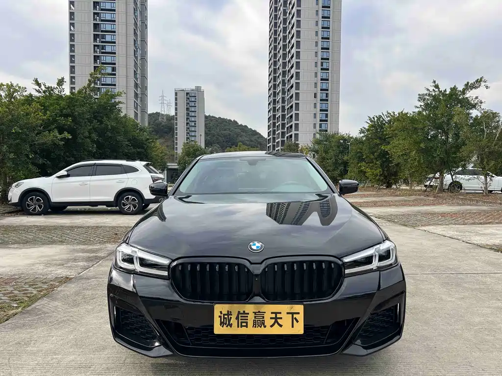 BMW 5 Series 2019