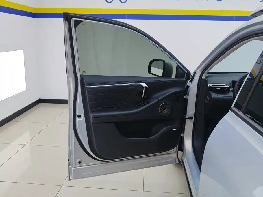 Aion V 2024