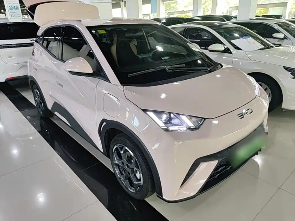 BYD Seagull 2024