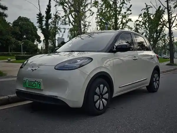 Wuling Bingo 2024