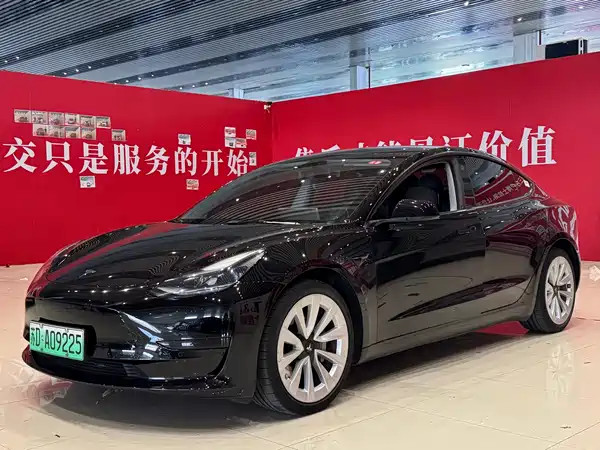 Tesla Model 3 2021