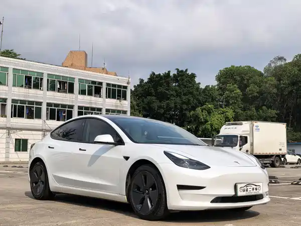 Tesla Model 3 2021