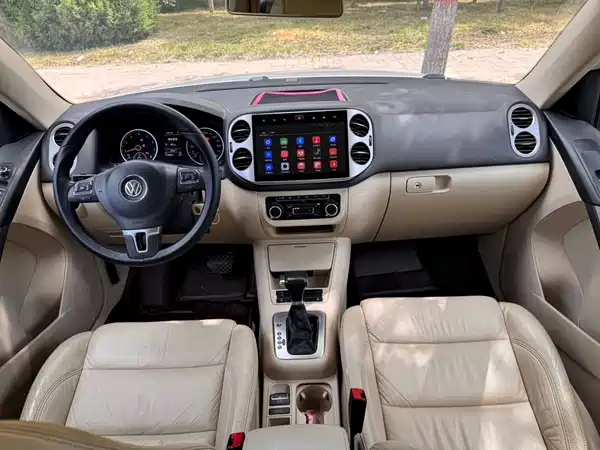 Volkswagen Tiguan 2010