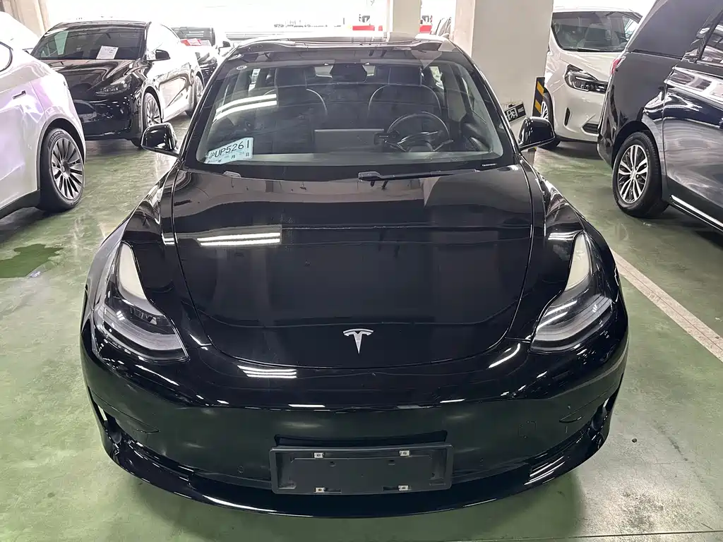 Tesla Model 3 2021 — фото 2