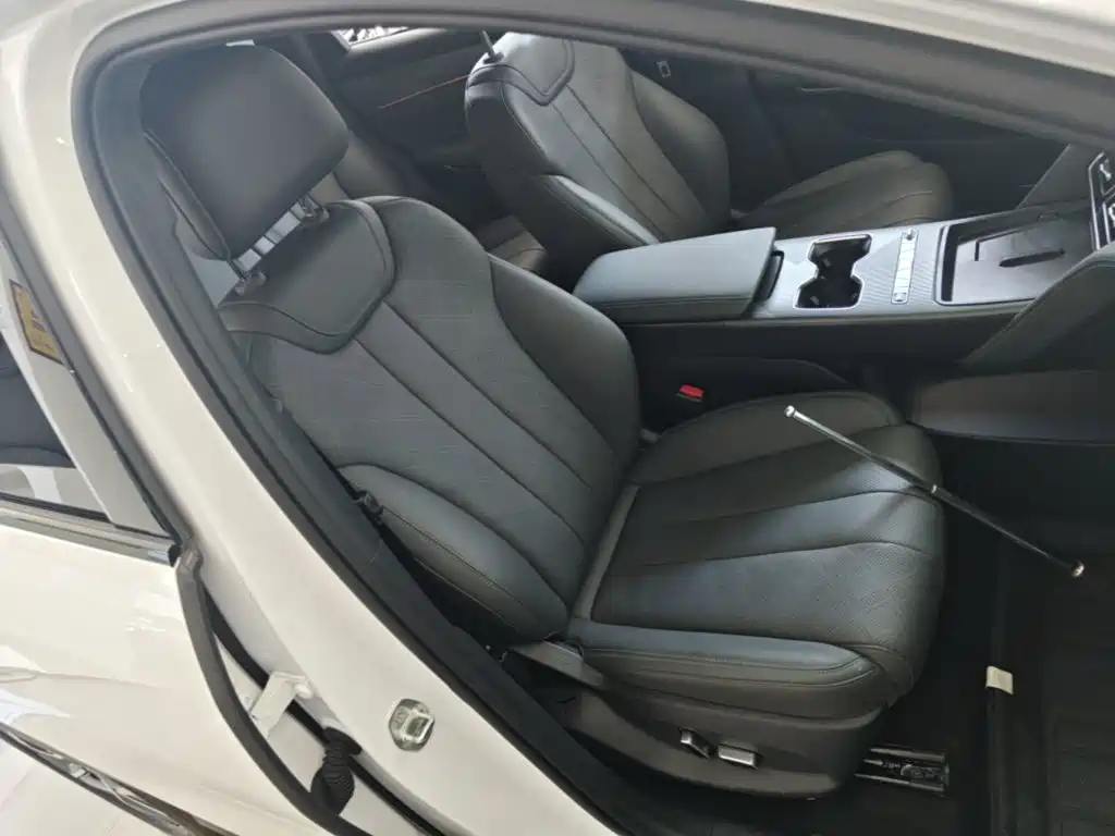 BYD Song L DM-i 2026 — фото 25