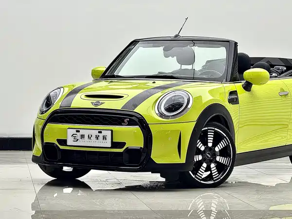 MINI MINI 2022