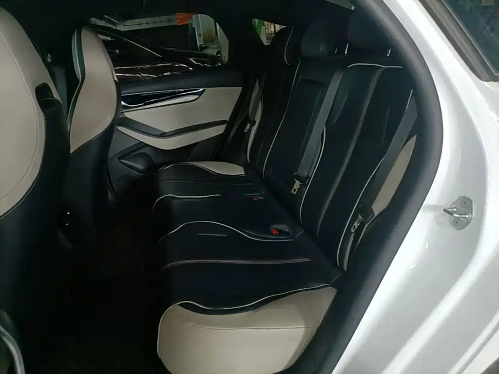 BYD Qin PLUS 2021 — фото 17