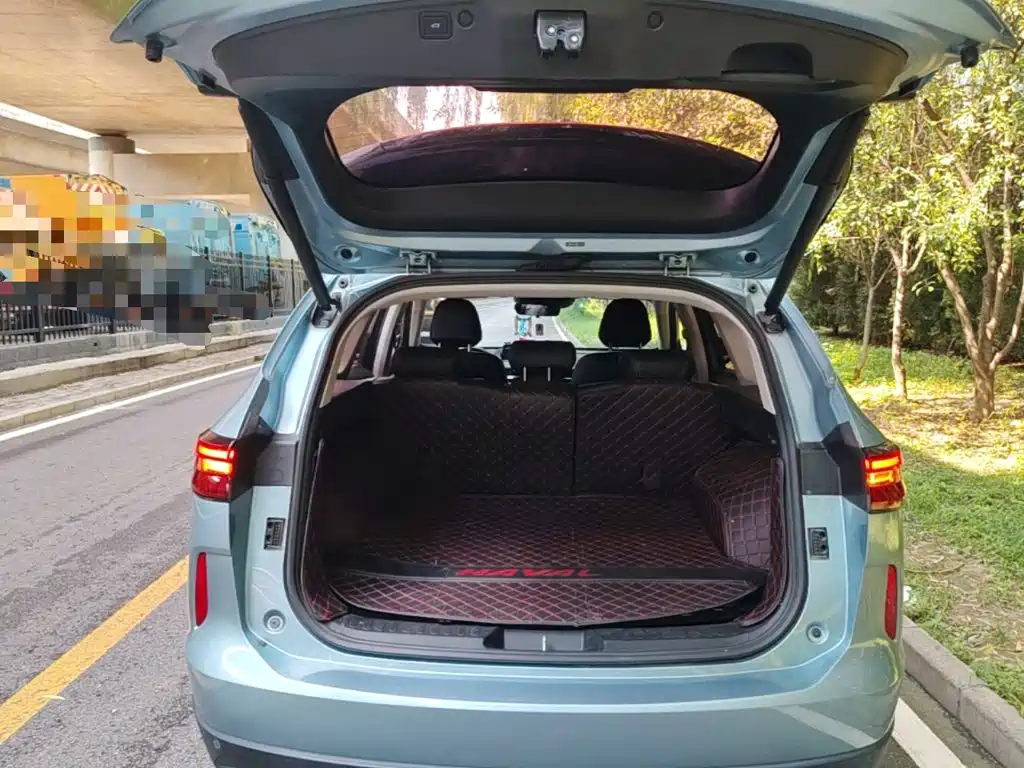 Haval H6 New Energy 2023 — фото 19