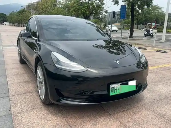 Tesla Model 3 2020