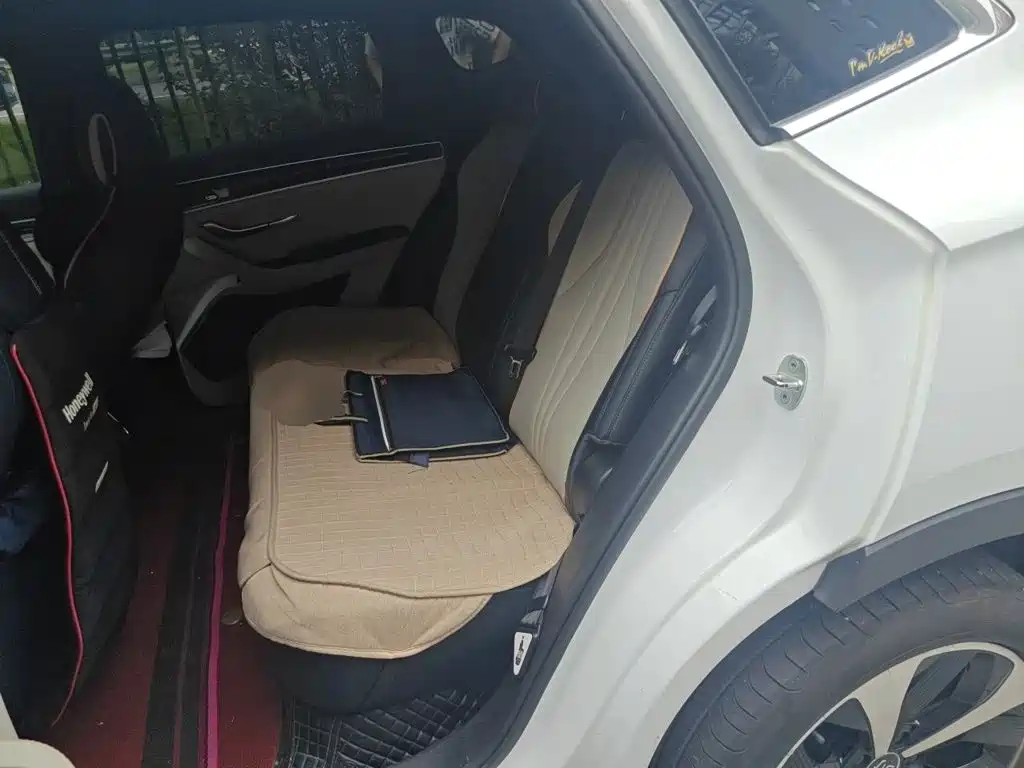 BYD Song PLUS New Energy 2021 — фото 15