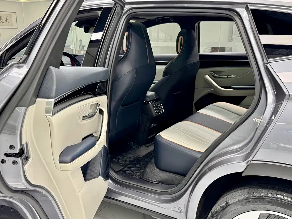 BYD PLUS New Energy 2023 — фото 13