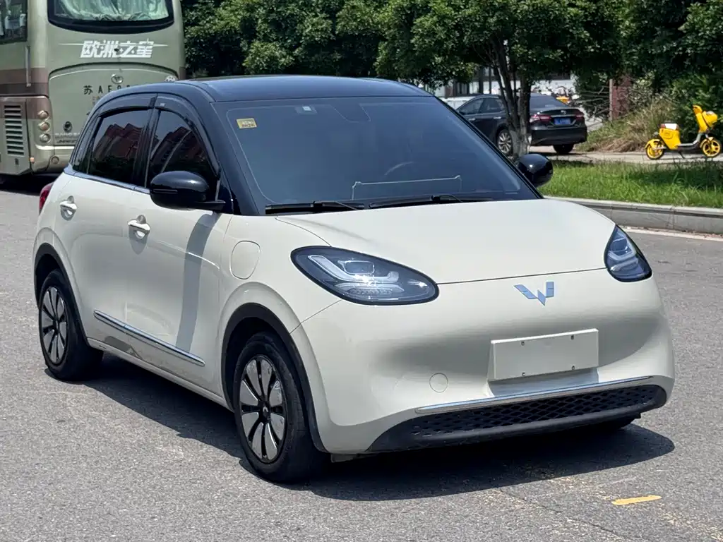 Wuling Bingo 2024