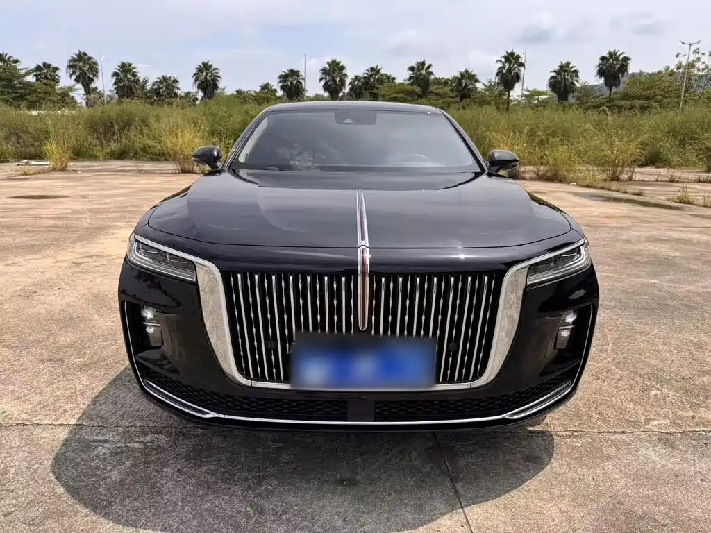 Hongqi H9 2020 — фото 25