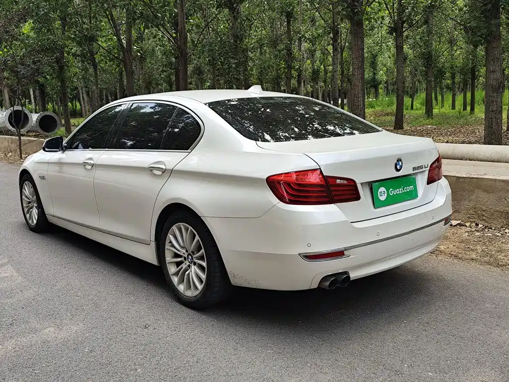 BMW 5 Series 2016 — фото 23