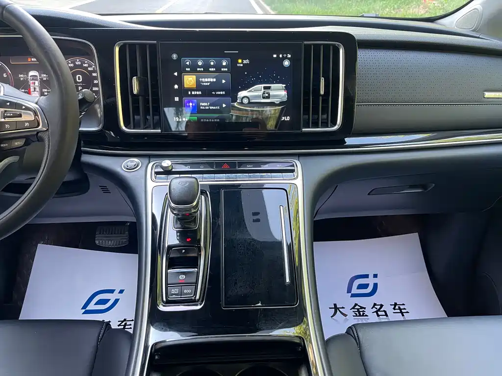 GAC Motor Trumpchi M8 2021 — фото 6