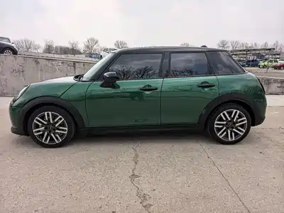 MINI MINI 2025