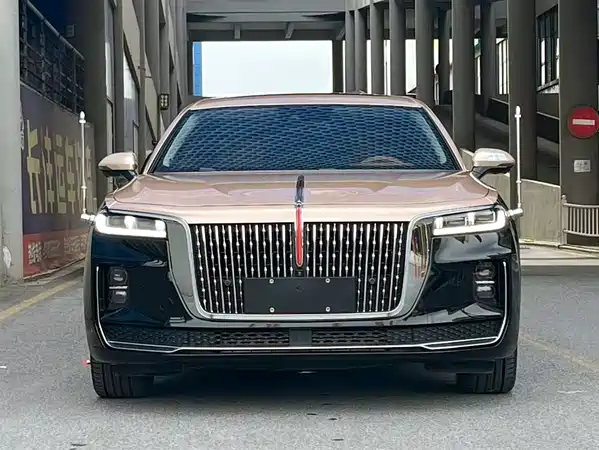 Hongqi H9 2021