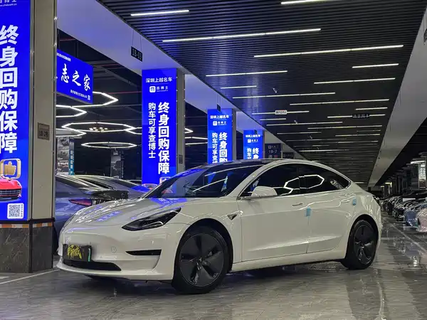 Tesla Model 3 2020