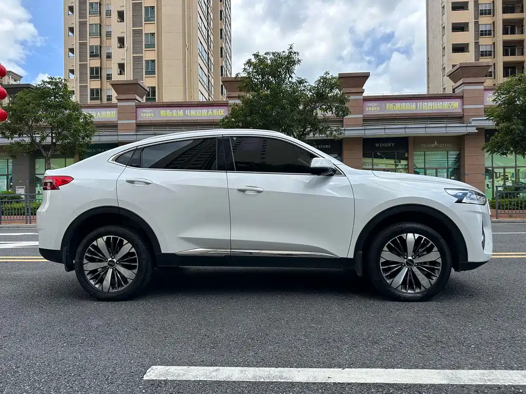 Haval F7x 2021 — фото 4