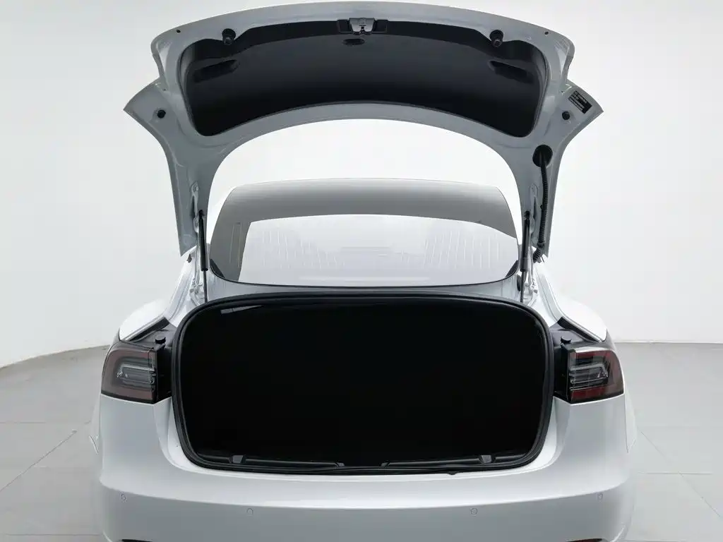 Tesla Model 3 2020 — фото 16
