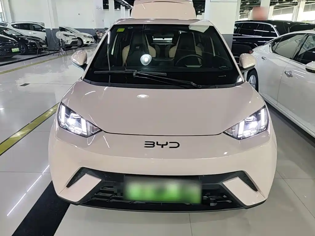 BYD Seagull 2024