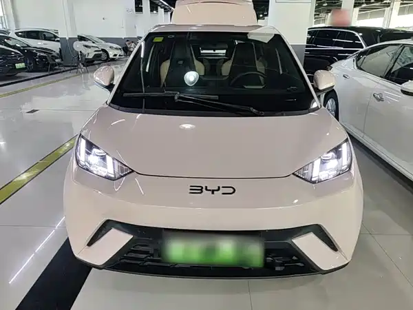 BYD Seagull 2024