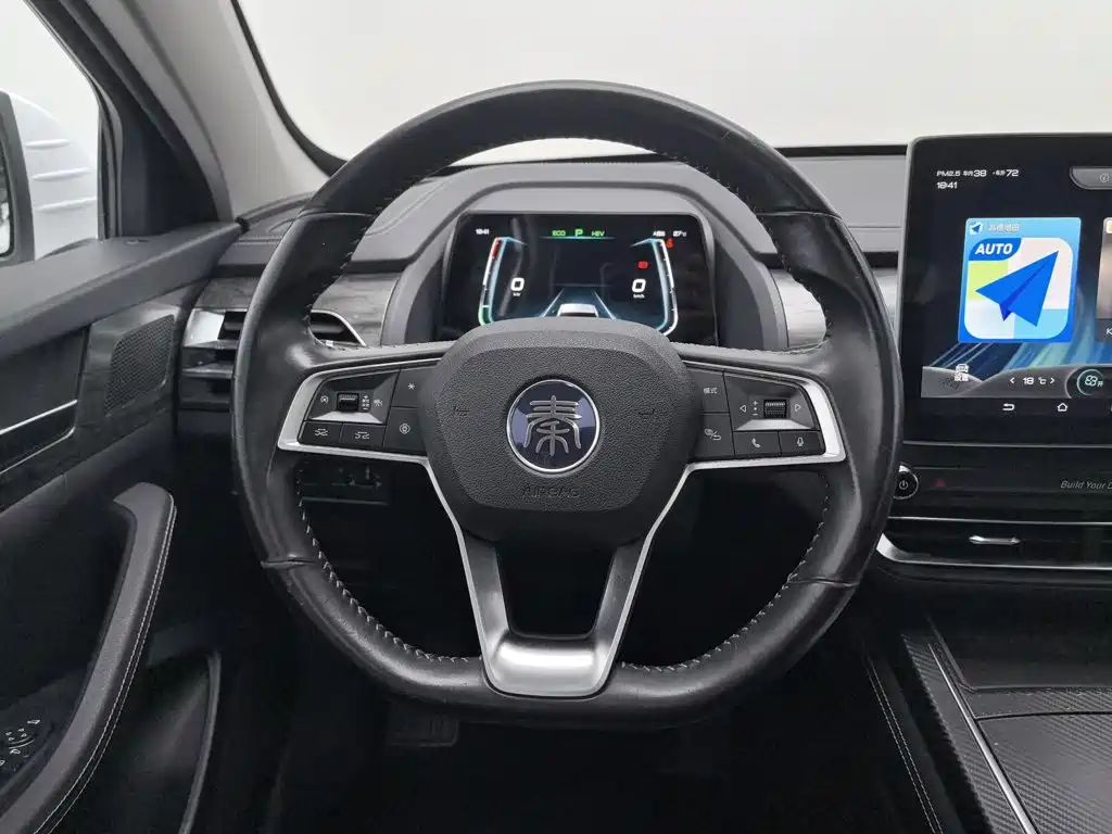 BYD Qin Pro New Energy 2019 — фото 11