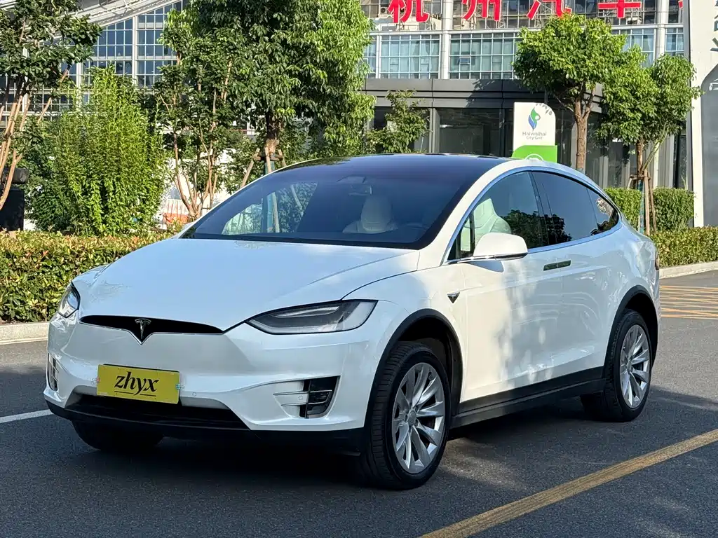 Tesla Model X 2017 — фото 17