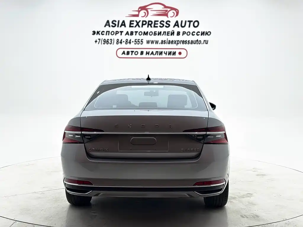 Skoda Speedy 2024