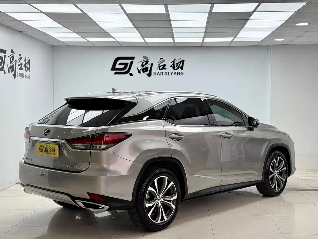 Lexus RX 2019 — фото 26