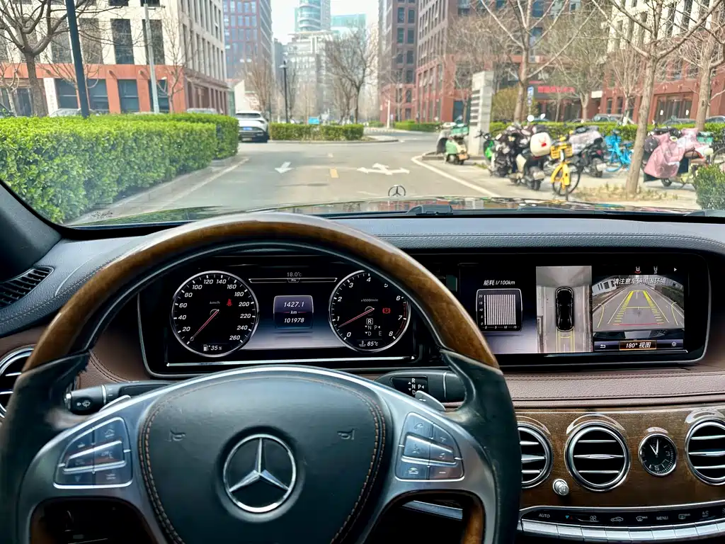 Mercedes-Benz S-Class 2015 — фото 16