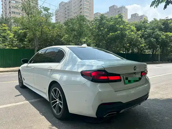 BMW 5 Series New Energy 2020